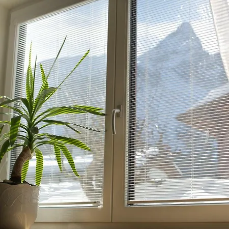 Apartment Julya Steiner