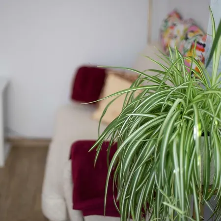 Apartment Julya Steiner *